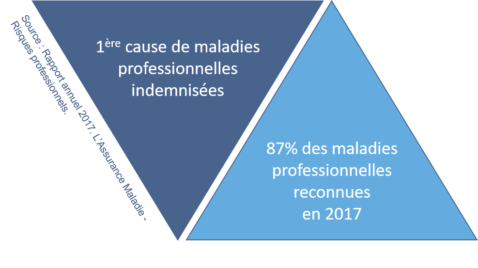 TMS ChiffresClés